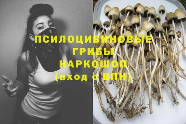сатива Красноперекопск