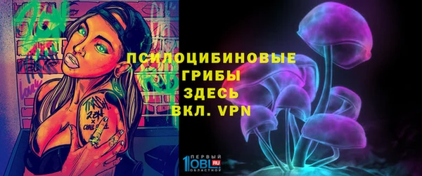 сатива Красноперекопск